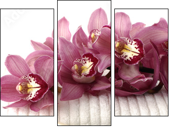 still life for wellness and spa with rose - Three-piece canvas print, Triptych