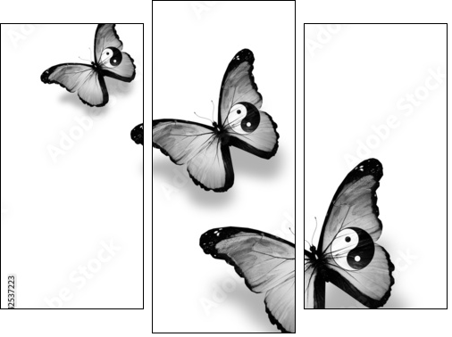 Three dao flag butterflies, isolated on white - Three-piece canvas print, Triptych