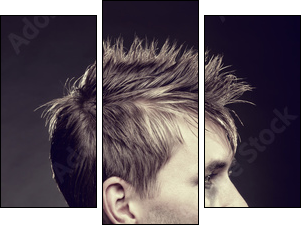 Men's hairstyle - Three-piece canvas print, Triptych