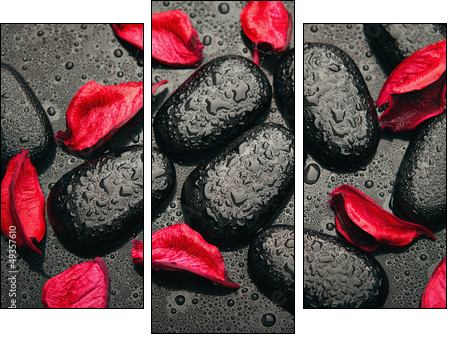 background spa. black stones and red petals with water droplets - Three-piece canvas print, Triptych