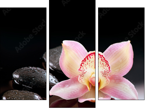 Zen Stones and Orchid Flower. Stone Massage - Three-piece canvas print, Triptych