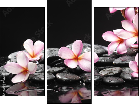Set of frangipani with zen stones - Three-piece canvas print, Triptych