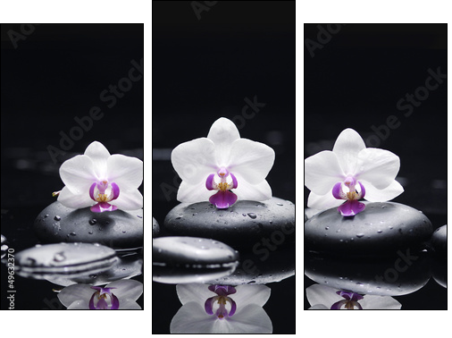 orchid flower and stones in water drops - Three-piece canvas print, Triptych