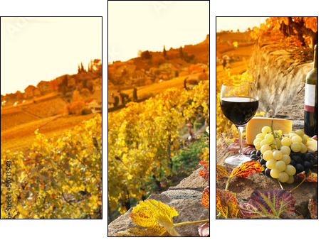 Glass of red wine on the terrace vineyard in Lavaux region, Swit - Three-piece canvas print, Triptych