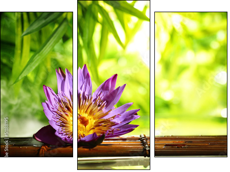 Spa still life with lotus float on water - Three-piece canvas print, Triptych