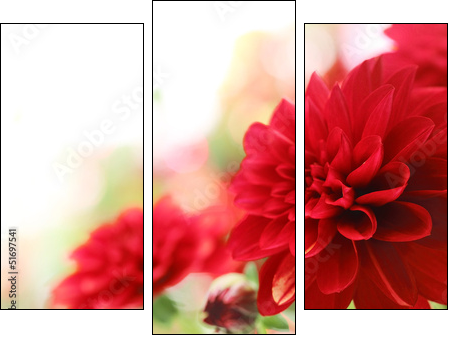 red dahlia flower - Three-piece canvas print, Triptych