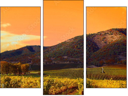 Vineyard Sunset - Three-piece canvas print, Triptych