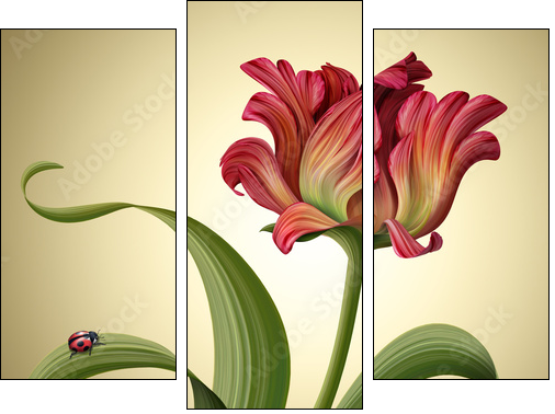 illustration of a beautiful red tulip flower with ladybug - Three-piece canvas print, Triptych