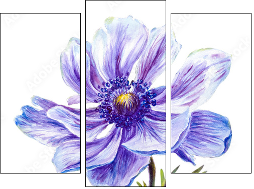 Japanese Anemones flower. Watercolor. - Three-piece canvas print, Triptych