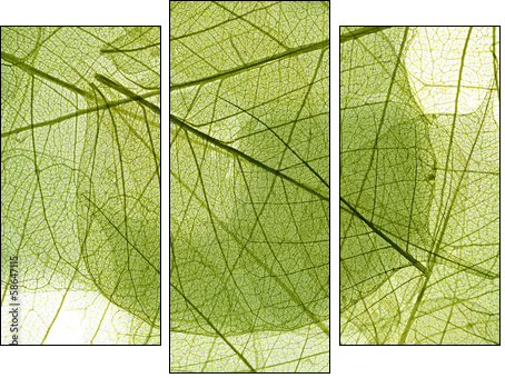 leaves background - Three-piece canvas print, Triptych