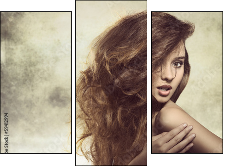 sexy lady with bushy hair - Three-piece canvas print, Triptych