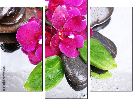Composition with beautiful blooming orchid with water drops and - Three-piece canvas print, Triptych