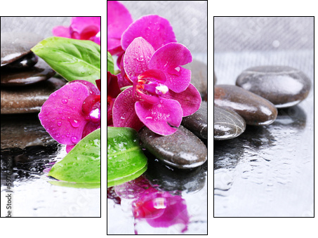 Composition with beautiful blooming orchid with water drops and - Three-piece canvas print, Triptych