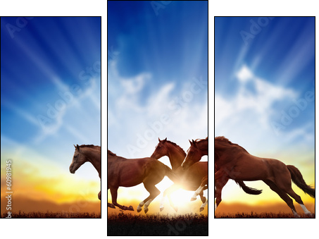 Running horses - Three-piece canvas print, Triptych