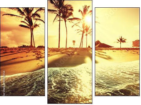 Tropical beach - Three-piece canvas print, Triptych
