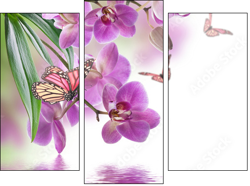 Floral background of tropical orchids and  butterfly - Three-piece canvas print, Triptych