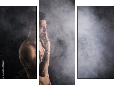 Shirtless young man smoking cigarette with a lot of smoke around - Three-piece canvas print, Triptych