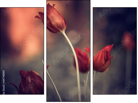 red garden tulips - Three-piece canvas print, Triptych