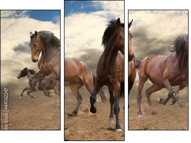 five indomitable bay horse galloping - Three-piece canvas print, Triptych