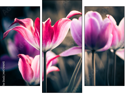 fresh spring garden flowers - Three-piece canvas print, Triptych