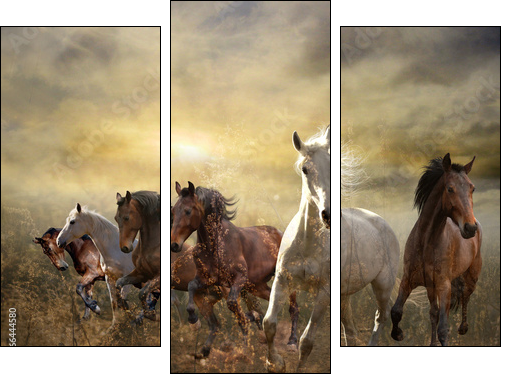 herd of horses galloping free at sunset - Three-piece canvas print, Triptych