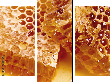 wax honeycombs with honey - close up - Three-piece canvas print, Triptych