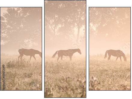horses in sunshine and fog - Three-piece canvas print, Triptych