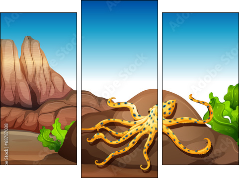 An octopus at the rock - Three-piece canvas print, Triptych