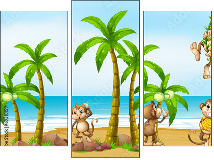 Monkey on beach - Three-piece canvas print, Triptych
