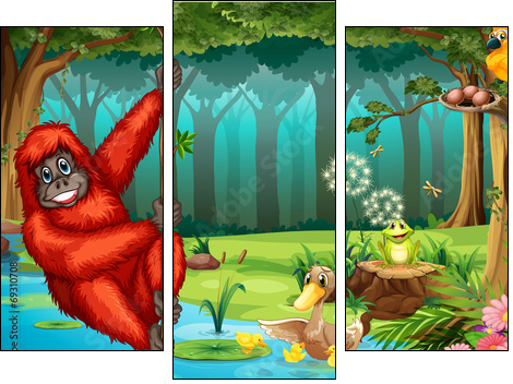 Orangutan in jungle - Three-piece canvas print, Triptych