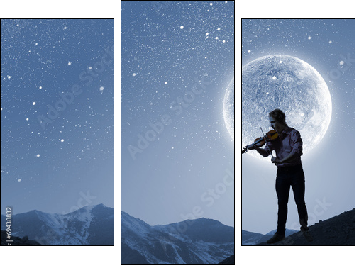 Man violinist - Three-piece canvas print, Triptych