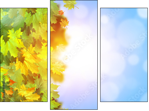 Autumn leaves - Three-piece canvas print, Triptych