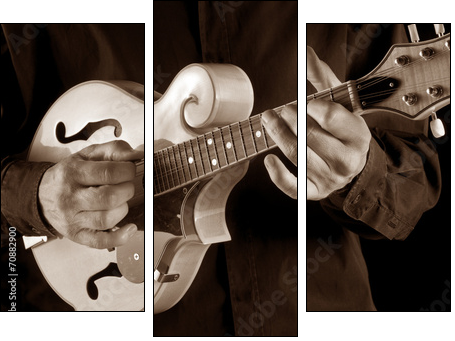 mandolin player,sepia image - Three-piece canvas print, Triptych