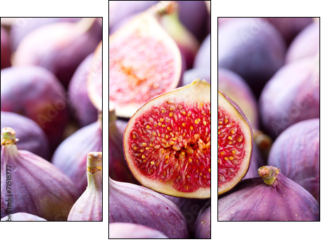 fresh figs - Three-piece canvas print, Triptych