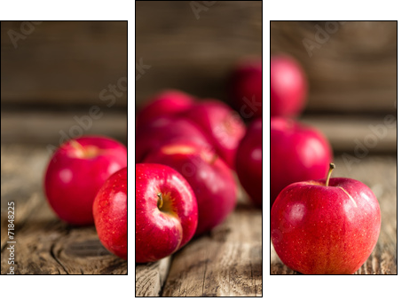 Apples - Three-piece canvas print, Triptych