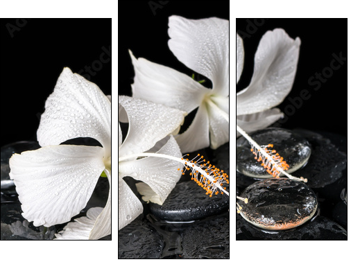Beautiful cryogenic spa concept of delicate white hibiscus, zen - Three-piece canvas print, Triptych