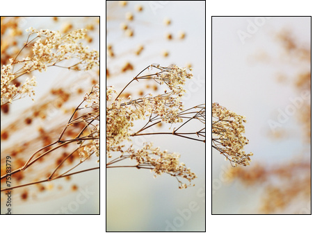 Dried flowers background - Three-piece canvas print, Triptych