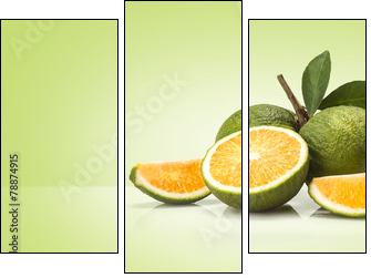 Green sweet oranges fruit - Three-piece canvas print, Triptych