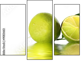 green lime - Three-piece canvas print, Triptych