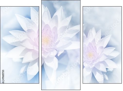 vivid color lotus in soft style for background - Three-piece canvas print, Triptych