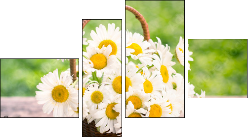 Spring flowers - Daisy flowers in the basket - Four-piece canvas print, Fortyk