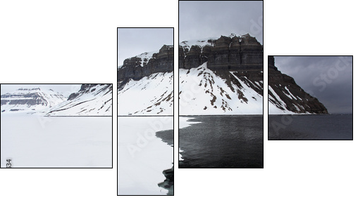 Spitzbergen - Four-piece canvas print, Fortyk