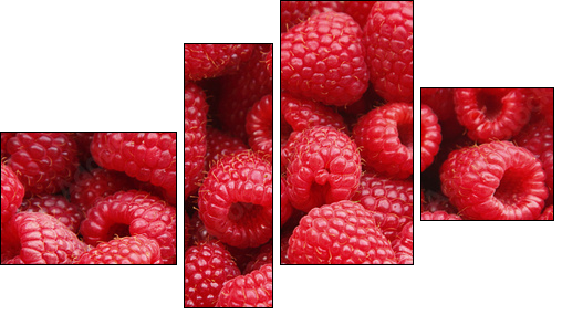Sweet raspberry - Four-piece canvas print, Fortyk