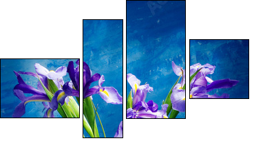 irises - Four-piece canvas print, Fortyk
