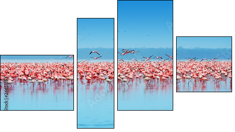 African flamingos - Four-piece canvas print, Fortyk