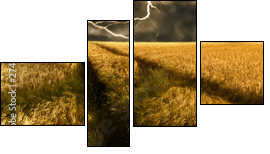 thunderstorm over a golden  barley field - Four-piece canvas print, Fortyk