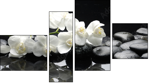 Close up white orchid with stone water drops - Four-piece canvas print, Fortyk