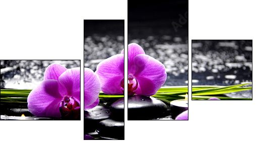 Spa still life with set of pink orchid and stones reflection - Four-piece canvas print, Fortyk