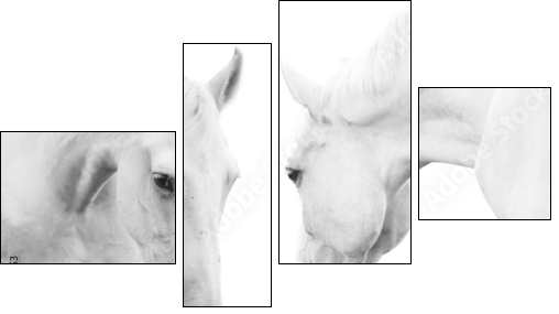 white horses - Four-piece canvas print, Fortyk