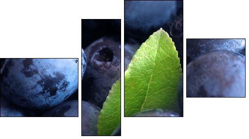 Macro shot of wet fresh blueberry - Four-piece canvas print, Fortyk
